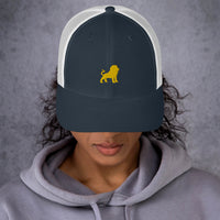 Lions Trucker Cap